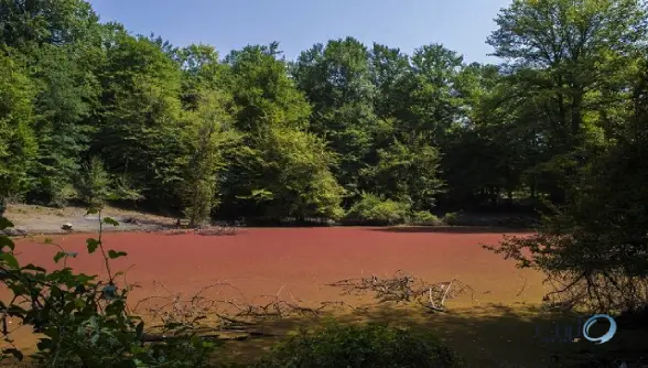 مرداب هسل شگفتی رنگ ها در شمال ایران